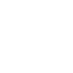 Expert Global Talent